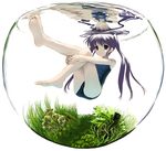  afloat barefoot feet fish_tank flat_chest fortune_arterial green_eyes hands in_container leg_hug long_hair long_legs mocha_(snowflake) one-piece_swimsuit purple_hair reflection school_swimsuit smile soles solo submerged swimsuit tougi_shiro twintails water 