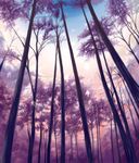  bad_pixiv_id bird cloud copyright_request dusk forest nature neuron_(exceed) no_humans scenery sky tree 
