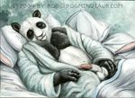  balls bear bed half-erect male mammal panda penis pillow robe rog_minotaur sleeping solo vein 
