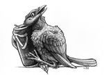  alcohol ambiguous_gender avian beak beer beverage bird bombird can crow feral greyscale guinness monochrome plain_background raven sketch solo white_background 