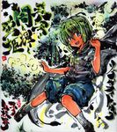  antennae cape dress_shirt green_eyes green_hair shikishi shirt shorts solo touhou umarutsufuri wriggle_nightbug 