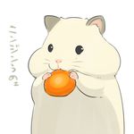  ambiguous_gender beady_eyes big_cheeks black_eyes carrot cheeks close-up cute dem_cheeks eating feral hamster holding japanese_text kemono looking_away mammal mossgreen nom perspective pink_nose plain_background portrait rodent small_ears solo standing text translation_request vegetable whiskers white_background 