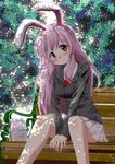  :&gt; animal_ears bag bench blush bunny_ears dappled_sunlight excel_(shena) highres long_hair necktie purple_hair red_eyes reisen_udongein_inaba sitting skirt smile solo sunlight touhou tree tree_shade v_arms 