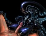  alien_(franchise) big_breasts breasts fellatio female human interspecies male mammal meandraco nipples oral oral_sex penis saliva sex straight titfuck what what_has_science_done xenomorph 