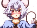  :&lt; animal_ears basket blush eyebrows grey_hair mouse mouse_ears mouse_tail nazrin red_eyes solo tail thick_eyebrows touhou triangle_mouth zan_(harukahime) 