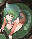  :o animal_ears bad_id bad_pixiv_id breast_press cat_ears cat_tail detached_sleeves downblouse green_eyes green_hair highres original short_hair sitting solo striped striped_tail tail yappen 