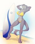  2012 3_toes anthro beach big_breasts bikini blue_eyes breasts clothed clothing female fish grey_body hairless marine outside pose sand sea seaside shark skimpy sky smile solo spotty_the_cheetah standing summer surf_board surfboard swimsuit tight_clothing water 