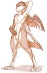  avian balls erection hoot looking_at_viewer male nude penis plain_background pose sketch solo standing wings 
