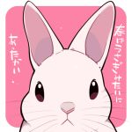  2016 feral headshot_portrait ichthy0stega japanese_text lagomorph looking_at_viewer low_res mammal portrait rabbit simple_background solo text translation_request whiskers 