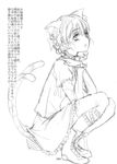  animal_ears bad_id bad_pixiv_id bell boots braid cat_ears cat_tail collar cross-laced_footwear full_body greyscale jingle_bell kaenbyou_rin kuronuko_neero lace-up_boots monochrome multiple_tails simple_background solo squatting tail touhou translation_request twin_braids twintails white_background 