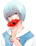  anemone_(flower) ayanami_rei blue_hair covered_mouth flower head_tilt holding holding_flower looking_at_viewer mocchimochi neck_ribbon neon_genesis_evangelion non-web_source red_eyes ribbon school_uniform short_hair simple_background solo upper_body white_background 