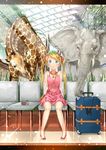  bag bare_shoulders blonde_hair blue_eyes blush chair dress elephant flower giraffe hair_flower hair_ornament hedgehog highres light_particles long_hair looking_at_viewer original pyz_(cath_x_tech) sitting smile solo suitcase twintails 