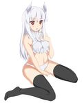  bad_id bad_pixiv_id black_legwear blush camisole heidimarie_w_schnaufer lm-kir navel open_mouth panties red_eyes sitting sleeveless solo strike_witches thighhighs underwear underwear_only wariza white_background white_hair white_panties world_witches_series 