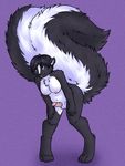  balls big_tail blue_eyes blush breasts chest_tuft chubby dickgirl erection fluffy_tail fur hair hush-a-bye intersex looking_at_viewer mammal myris nipples penis plain_background pudgy sheath skunk solo standing tongue tongue_out tuft 