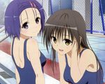  2girls black_hair kotegawa_yui megami nishitani_yasushi pool purple_hair sairenji_haruna school_swimsuit swimsuit to_love_ru to_love_ru_darkness wet 