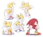 blue_eyes blush canine echidna fox knuckles_the_echidna male mammal miles_prower multiple_tails plain_background purple_eyes sega shy smile sonic_(series) 