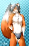  bulge canine fox male solo speedo underwear zoharwolf 