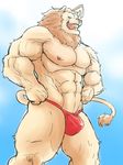  anthro balls biceps brown_fur brown_hair bulge clothed clothing fangs feline fur hair half-dressed lion male mammal muscles neko_jo nipples open_mouth pecs penis pose solo speedo standing swimsuit tongue topless underwear unknown_artist vein yellow_eyes 