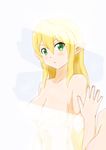  blonde_hair breasts condensation gobanme_no_mayoi_neko green_eyes highres leafa long_hair mirror nude pointy_ears solo sword_art_online 