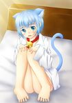  1boy animal_ears barefoot bed bell blue_eyes blue_hair blush bottomless cat_ears cat_tail doraemon doraemon_(character) dress_shirt highres male male_focus mu-minndani-24-78 on_bed open_clothes open_mouth open_shirt personification scarf shirt solo sunlight tail 