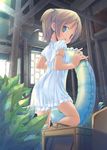  arm_ribbon back bangs blue_eyes blurry blush crate depth_of_field dress from_behind from_below holding innertube leaf light_brown_hair looking_at_viewer one_side_up original parted_lips pillar pipes plant pop potted_plant ribbon short_hair short_sleeves solo white_dress 