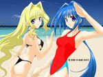  beach bikini blonde_hair blue_eyes blue_hair day hair_intakes highres jpeg_artifacts kishou_seireiki long_hair multiple_girls non-web_source outdoors salute short_hair swimsuit third-party_edit thong_bikini wallpaper 