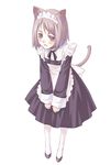  animal_ears bad_id bad_pixiv_id cat_ears copyright_request maid nyaou pantyhose solo tail 
