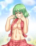  ;) black_sclera breasts cleavage cloud day flower green_hair grin houtengeki kazami_yuuka medium_breasts muscle naked_vest navel no_undershirt one_eye_closed open_clothes outdoors plaid plaid_skirt plaid_vest red_eyes short_hair skirt skirt_pull skirt_set sky smile solo sunflower touhou vest 