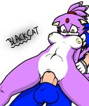  balls blackcat blaze_the_cat breasts duo feline female hedgehog male mammal nipples nude on_top open_mouth penetration penis plain_background pussy reverse_cowgirl_position sega sex sonic_(series) sonic_the_hedgehog straight thick_penis vaginal vaginal_penetration white_background yellow_eyes 