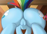  blue_fur butt cutie_mark equine female feral friendship_is_magic fur hair horse mammal multi-colored_hair my_little_pony pony pussy rainbow_dash_(mlp) rainbow_hair solo ziemniax 