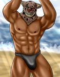  armor_king beach biceps big_muscles bulge clothing eurobeat feline human leopard looking_at_viewer male mammal mask muscles nipples pecs sand sea seaside solo speedo sweat swimsuit tekken topless underwear water 