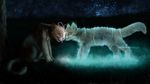  cat dark duo electric eyes_closed feline feral fireheart fireheart_(warriors) fur ghost glowing grass magic mammal nature night_sky nuzzle octobertiger outside spirit spottedleaf spottedleaf_(warriors) tan_fur warrior_cats warriors_(cats) yellow_eyes 