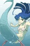  aya_shachou blue_hair breasts brown_eyes bubble floating_hair highres idolmaster idolmaster_(classic) kisaragi_chihaya long_hair looking_at_viewer mermaid monster_girl monsterification outstretched_arms scales shell shell_bikini small_breasts solo tail underwater water 