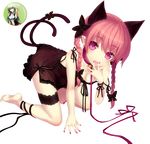  animal braids catgirl ears eyes hair kaenbyou red rin short tail touhou 