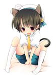  :3 animal animal_ears animal_on_head bad_id bad_pixiv_id blush brown_hair cat cat_ears cat_on_head cat_tail deyuyama full_body hat male_focus necktie on_head open_mouth original red_eyes shorts socks solo tail 