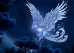 2019 ambiguous_gender avian beak bird detailed_background digital_media_(artwork) feathered_wings feathers feral night outside selianth sky solo star starry_sky talons white_feathers wings 