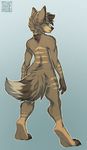  ambiguous_gender back black_nose blue_eyes brown_fur canine cherrybox claws coyote digitigrade female fluffy_tail fur green_eyes hindpaw hyena looking_at_viewer looking_back mammal nude paws piercing plain_background solo 