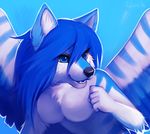  blue_eyes blue_fur blue_hair blue_theme breasts canine chest_tuft cool_colors falvie female fur hair mammal nude plain_background solo tala_(suntattoowolf) tuft wings wolf 