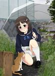  adult_baby bad_id bad_pixiv_id bangs blush cat copyright_request diaper hair_ornament hairclip kneeling loafers rain school_uniform serafuku shoes solo umbrella usa_usagi 