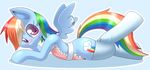  apron blue_fur blush cutie_mark equine female friendship_is_magic fur hair looking_at_viewer lying mammal multi-colored_hair my_little_pony on_front on_stomach oze pegasus plain_background purple_eyes rainbow_dash_(mlp) rainbow_hair ring socks solo wings 