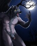  anthro balls biceps black_fur blackteagan canine chest_tuft claws fangs flaccid fur grey_fur human male mammal moon muscles night niples nipples nude open_mouth pecs penis penis_tip pose scenery sheath sky solo standing surprise teeth tongue transformation tree tuft were werewolf wolf wood yellow_eyes 