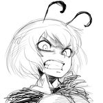  angry antennae bad_id bad_pixiv_id clenched_teeth face greyscale kubrick_stare monochrome scowl simple_background sketch solo space_jin teeth touhou white_background wriggle_nightbug 