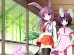  :o animal_ears bad_id bad_pixiv_id black_hair black_legwear blush bunny bunny_ears dress dress_shirt dx_(dekusu) holding_hands inaba_tewi interlocked_fingers long_hair looking_at_viewer multiple_girls necktie purple_eyes purple_hair red_neckwear reisen_udongein_inaba shirt short_hair skirt thighhighs touhou white_shirt window 