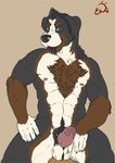  anthro balls beard bernese bernese_mountain_dog biceps big_muscles big_penis black_fur black_hair black_nose brown_fur canine chest_tuft claws dog erection exawolf facial_hair fur green_eyes hair looking_at_viewer male mammal muscles nipples nude pecs penis plain_background pose sheath solo standing tan_background tuft vein white_fur 
