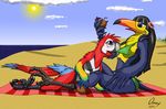  avian beach beak bikini bird blue_eyes breasts clothed clothing feathers female hair long_hair macaw omny87 one-piece_swimsuit parrot scarlet_macaw seaside skimpy swimsuit tight_clothing toucan wings 