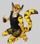  black_fur clothing feline fur glass green_eyes jewelry looking_at_viewer male mammal muscles necklace ookami-kun orange_fur piercing shirt smile solo stripes tank_top toothpick white_fur yellow_fur 