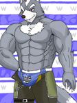  anthro big black_nose bulge canine claws clothed clothing fox giant half-dressed hot huge male mammal muscleartguy muscles nintendo o&#039;donnell pecs purple_eyes smirk solo speedo star star_fox swimsuit topless underwear video_games wolf wolf_o'donnell 