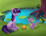  amphibian aurarrius cub cutie_mark dragon equine female feral friendship_is_magic frog green_eyes hair horn horse lily_pad male mammal multi-colored_hair my_little_pony orange_(fruit) outside pond pony purple_eyes reed scalie shaded spike spike_(mlp) tree twilight_sparkle_(mlp) unicorn water young 