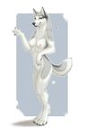  4_toes anthro breasts caly canine claws digitigrade dog female fur heterochromia hindpaw husky looking_at_viewer mammal nipples nnecgrau nude paws smile solo standing toes white white_fur wolf 