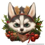  ambiguous_gender canine christmas cute dog fruit holidays husky mammal silverfox5213 solo 